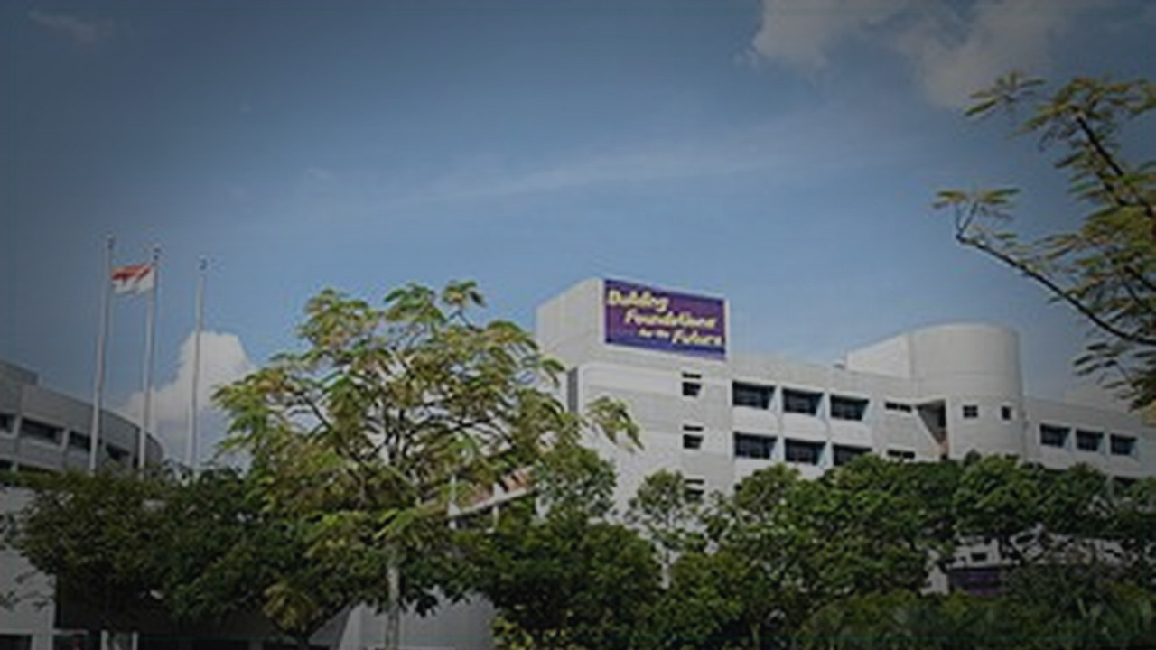 Ang Mo Kio Singapore themed Pine Script service cover with dark market grading