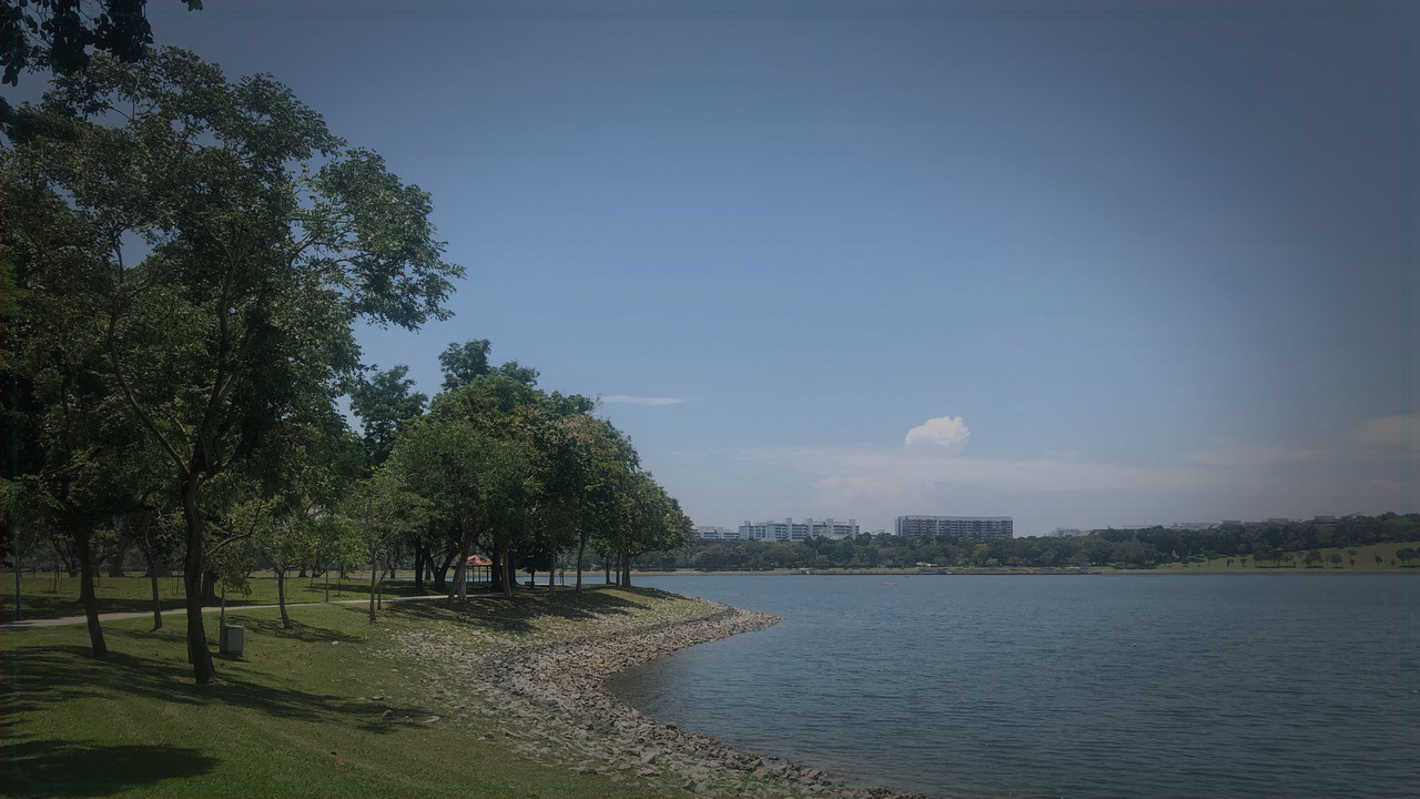 Bedok Singapore themed Pine Script service cover with dark market grading