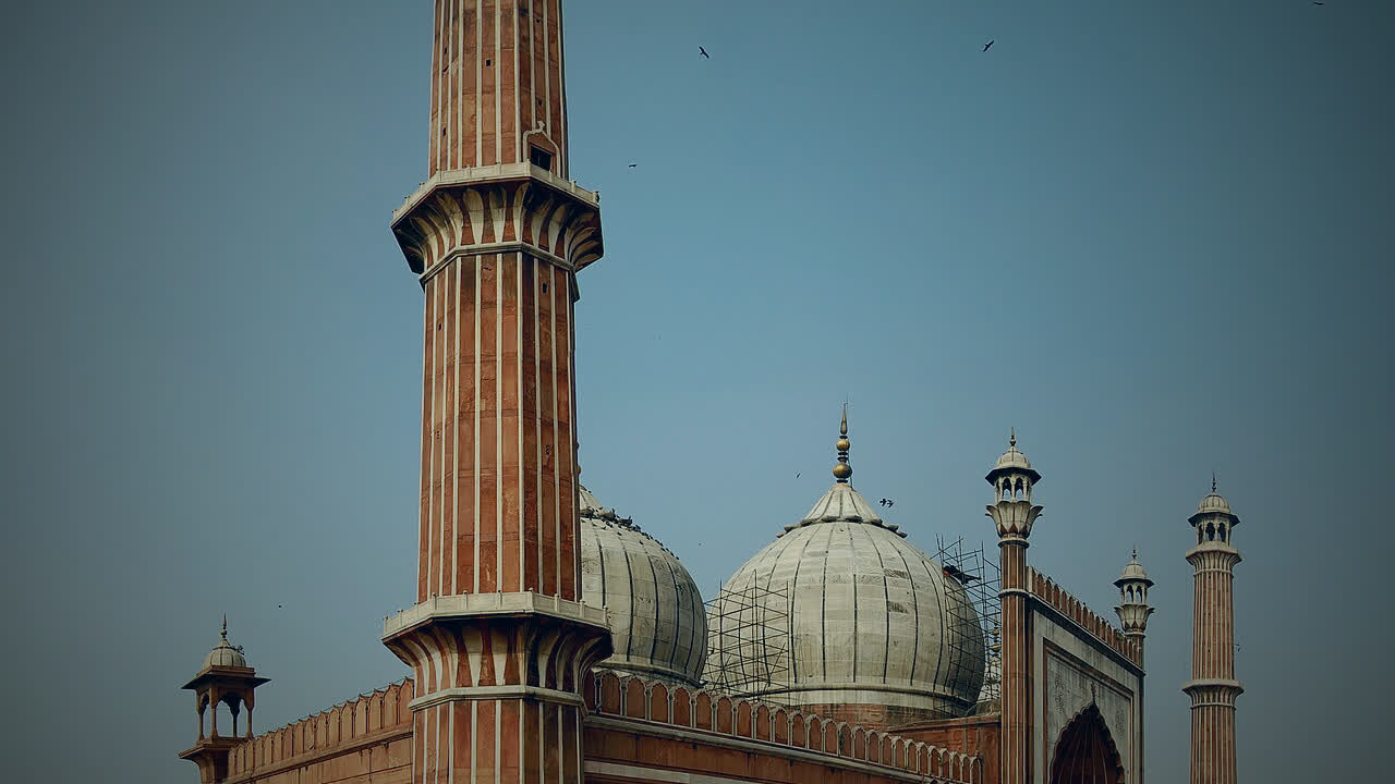 Delhi trading trends tag hub