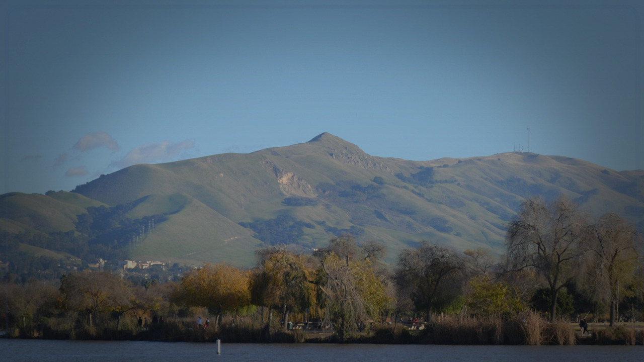 Fremont skyline themed Pine Script service cover with dark market grading