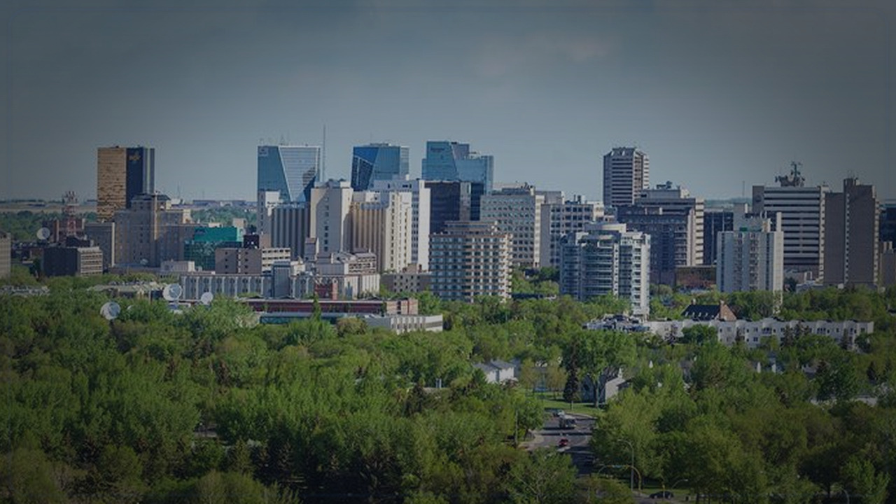 Regina themed custom Pine Script developer cover