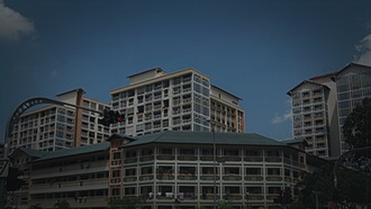 Serangoon Singapore themed Pine Script service cover with dark market grading