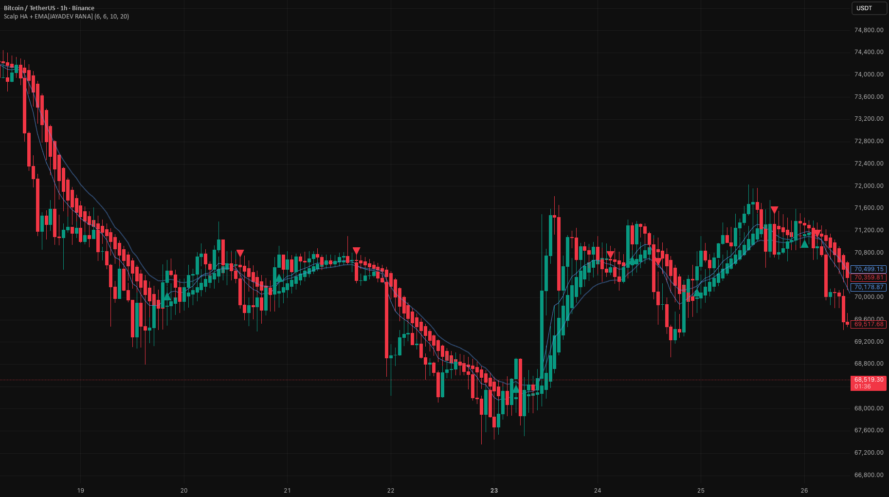 Terms of use page cover