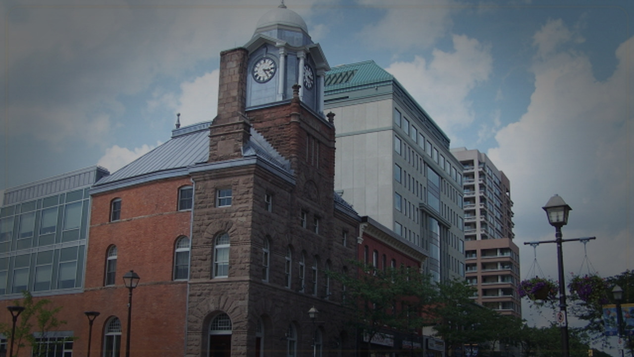 Brampton themed gold and forex Pine Script expert cover