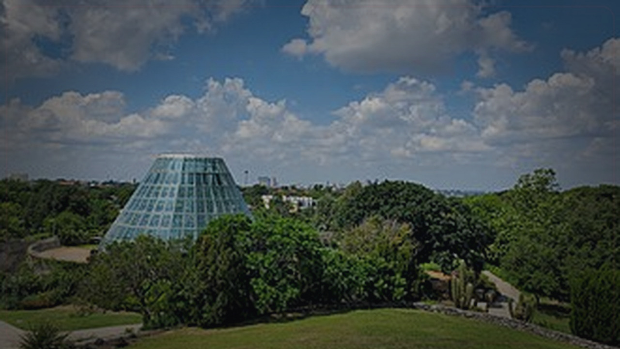San Antonio skyline themed Pine Script service cover with dark market grading
