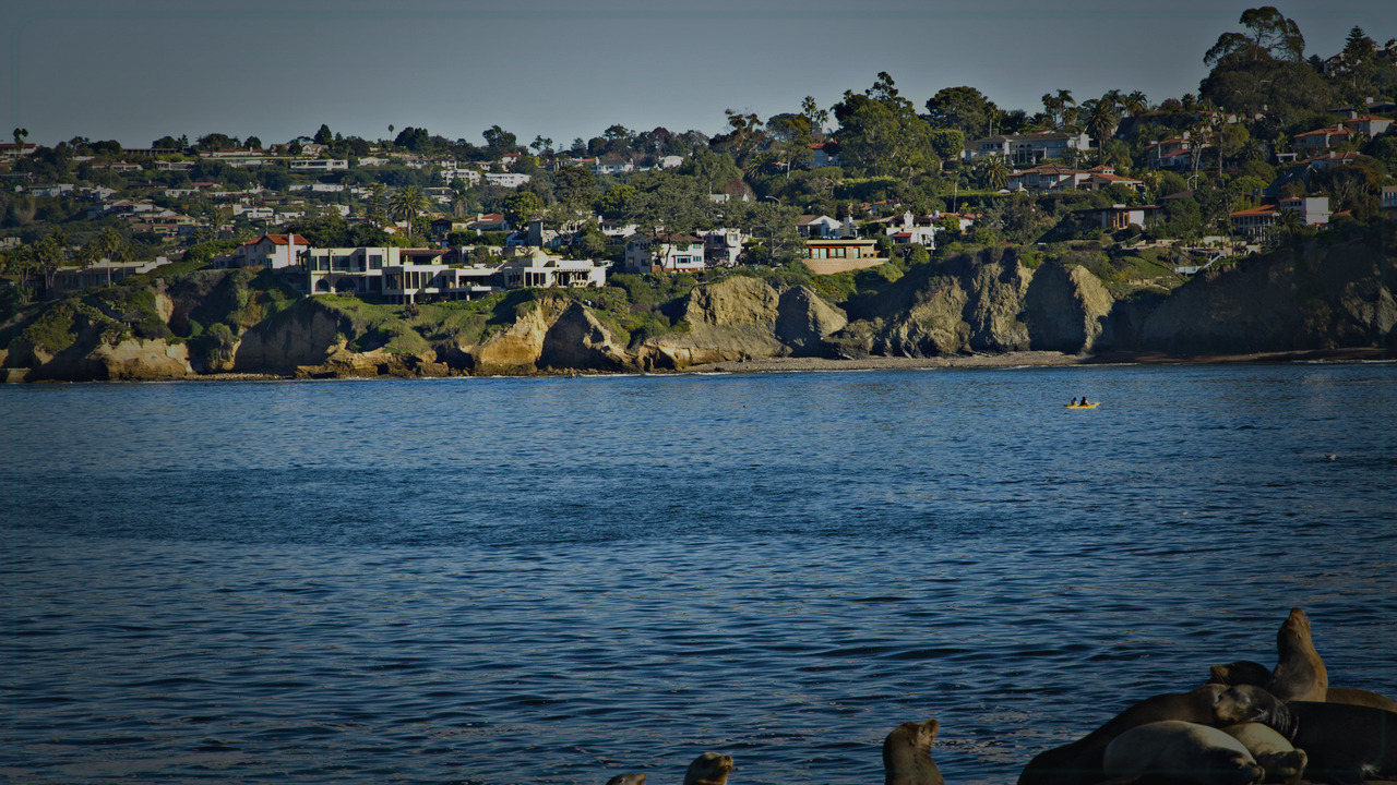 San Diego skyline themed Pine Script service cover with dark market grading