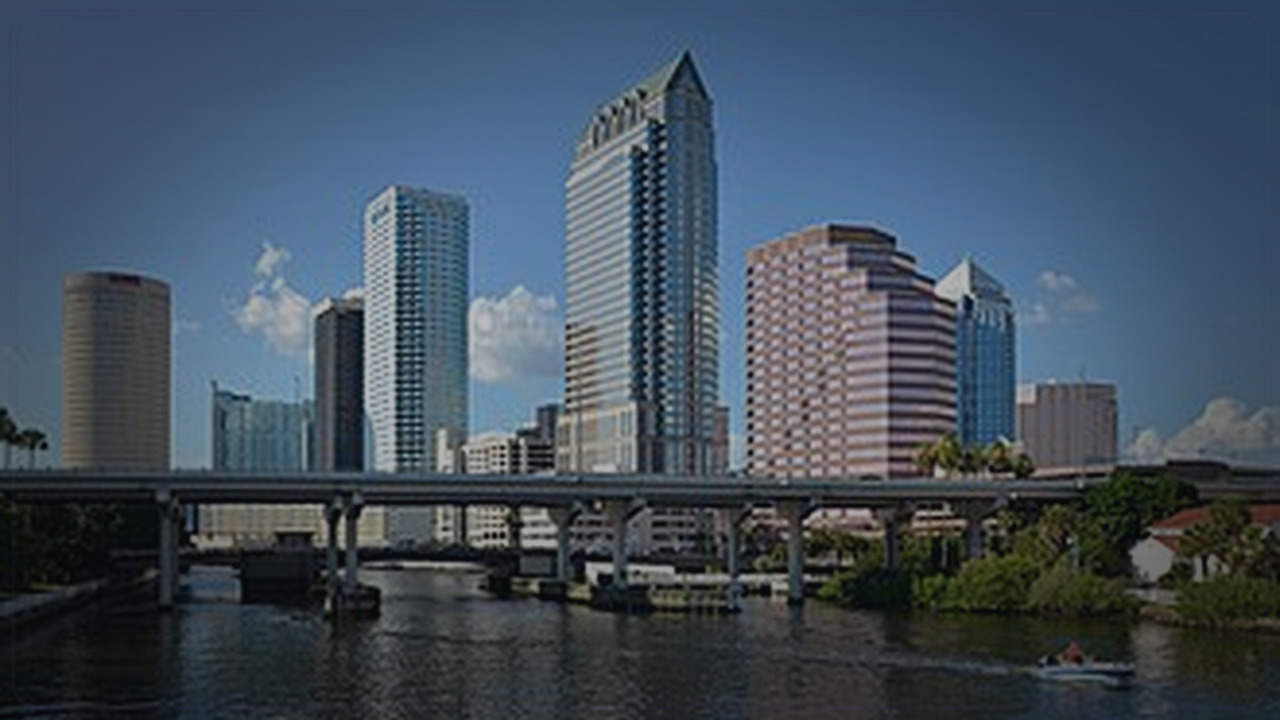 Tampa skyline themed Pine Script service cover with dark market grading